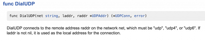 Golang net UDP dial
